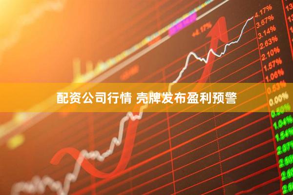 配资公司行情 壳牌发布盈利预警