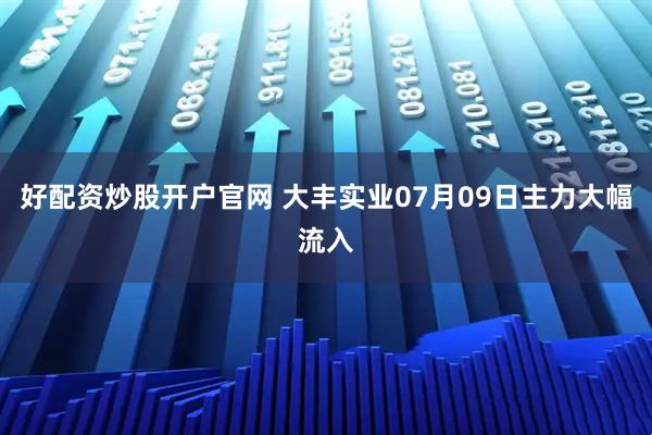 好配资炒股开户官网 大丰实业07月09日主力大幅流入