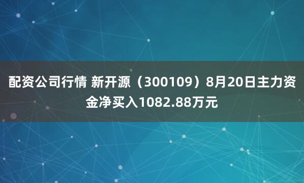 配资公司行情 新开源（300109）8月20日主力资金净买入1082.88万元